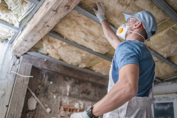 Best Insulation Maintenance and Repair in East Quincy, CA