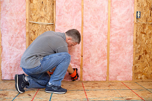 Best Cellulose Insulation in East Quincy, CA